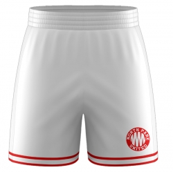 Champion Series Shorts